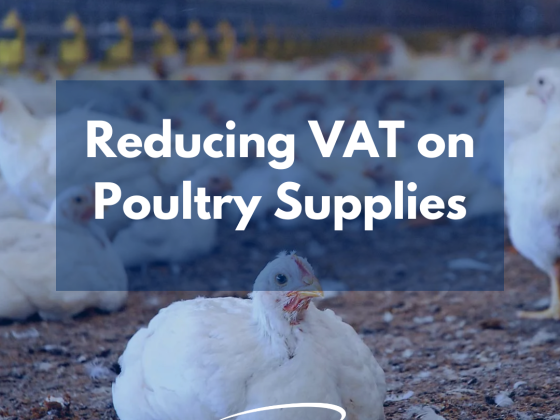 Reducing VAT on Poultry Supplies in South Africa